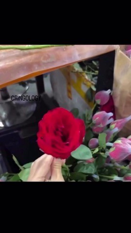Жесткая деградация