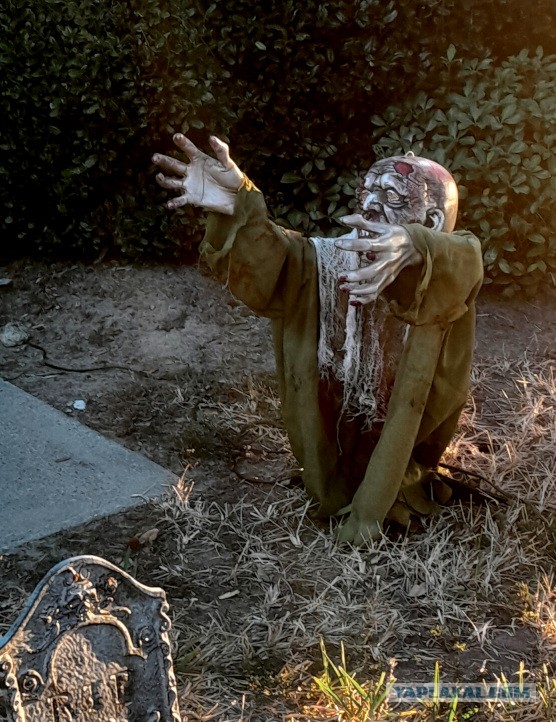 Техас готов к Хэллоуину