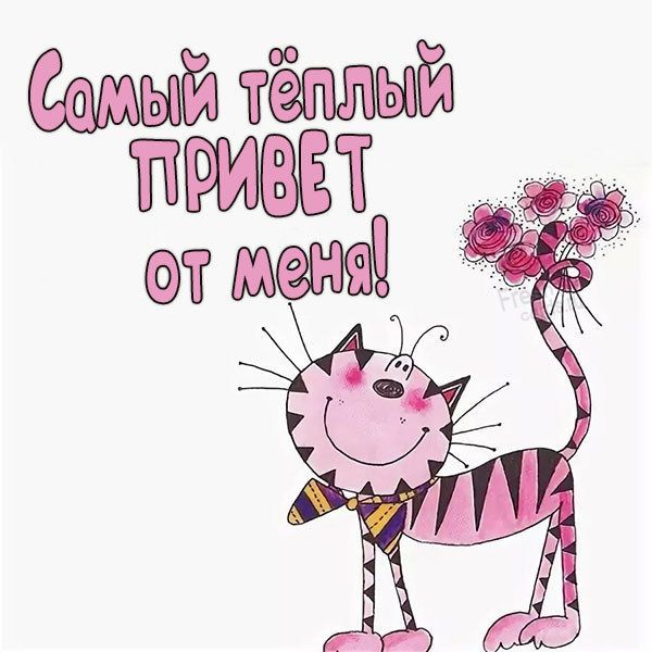 Прикольные и просто красивые картинки 18.11.2025