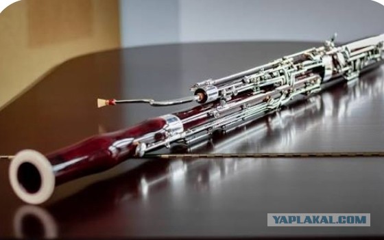 Сдулся защитник свободы слова