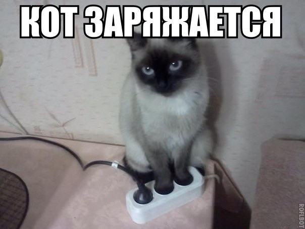Субботние картинки