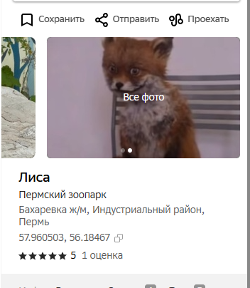 Пермский зоопарк