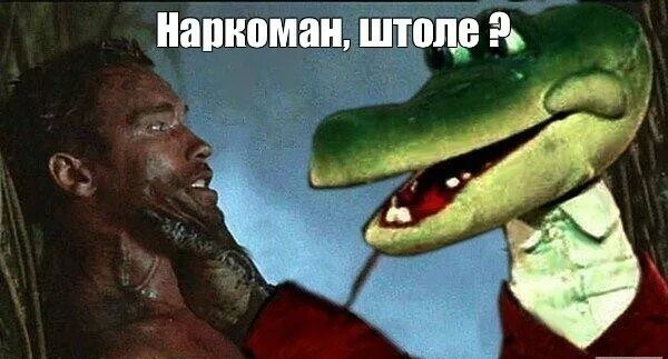 Как правильно сказать?