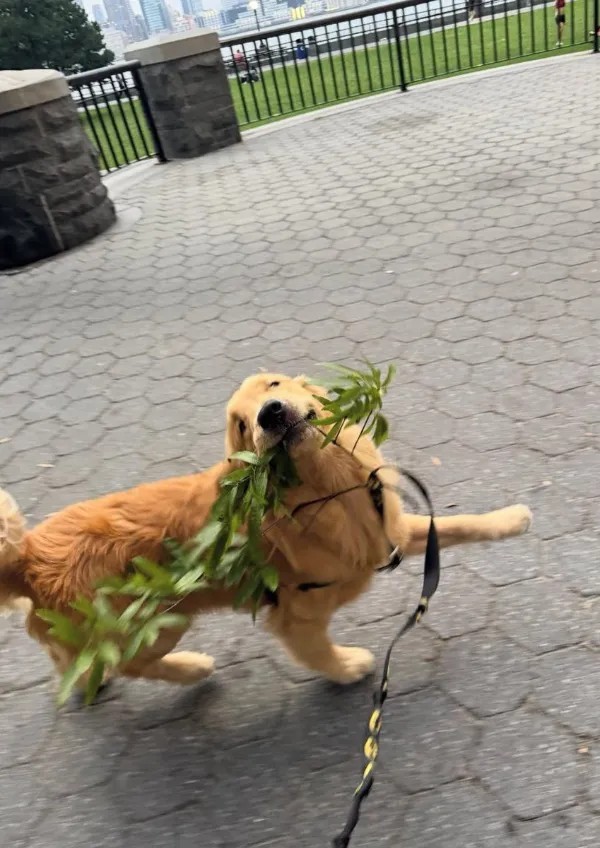 Забавные и интересные фото из Сети 23.04.26