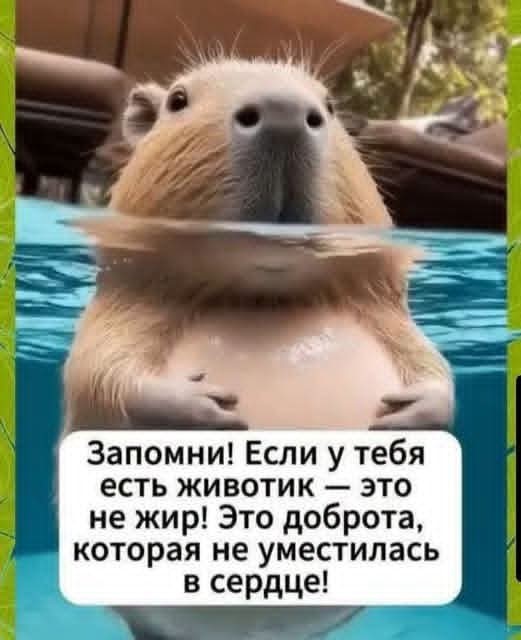 Веселые картинки в пятницу (03.07)