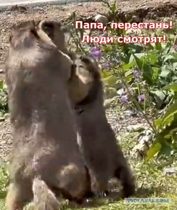 "Хватит драться"