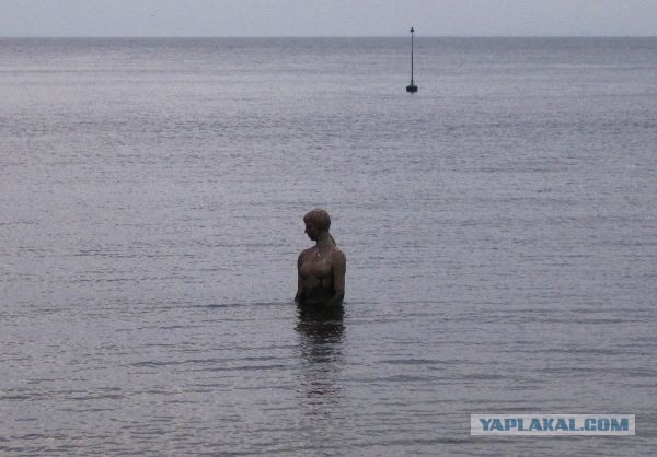 У далёкого Японского моря. Владивосток