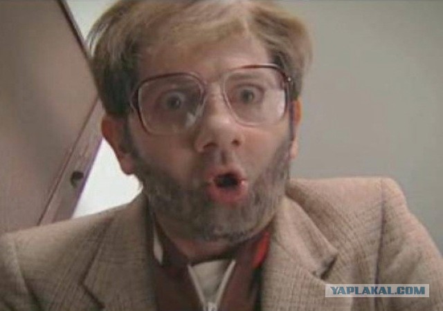 Наши любимые соседи