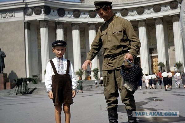 Дети нашего двора