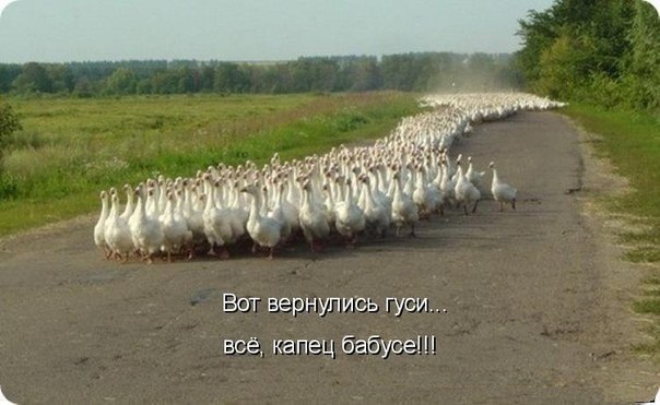Веселые картинки № х/з