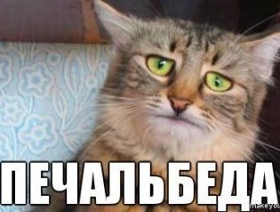 Школьникам не понять