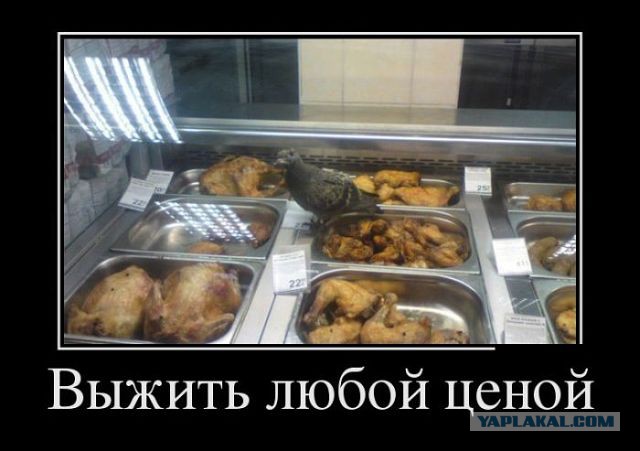 Что едят американцы? Большой тур по супермаркетам