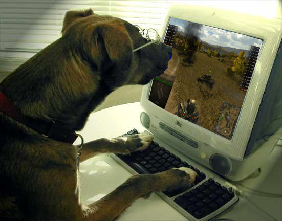 Wargaming 18