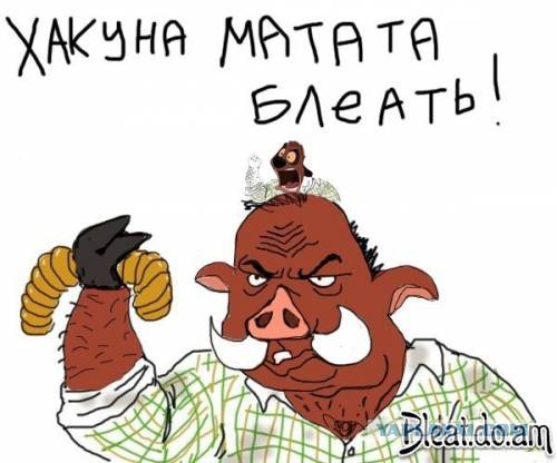 Настоящий кабан против питбулей