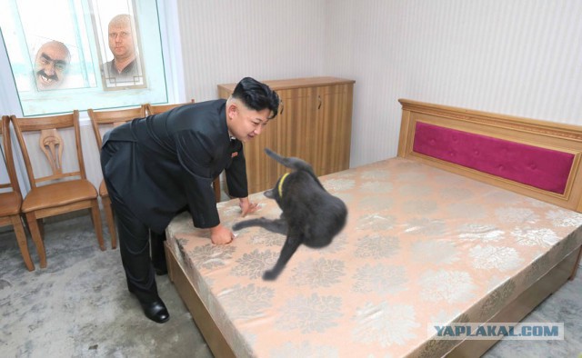 Фотожабы: Наклонившийся Ким