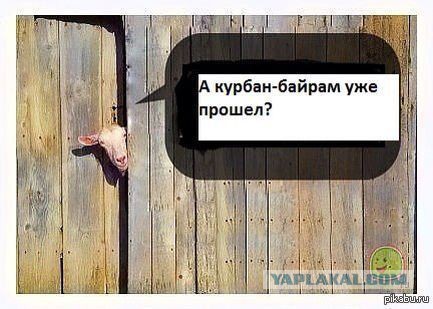 Курбан-Байрам: "Там просто не проехать!"