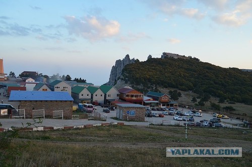 Голосование за сохранение заповедника на Ай-Петри