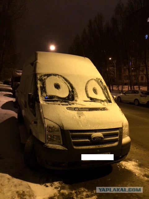 Вечерняя прогулка с дочкой и собакой