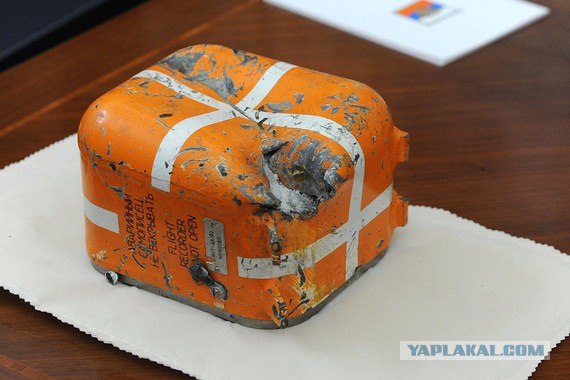 Боль и позор в прямом эфире
