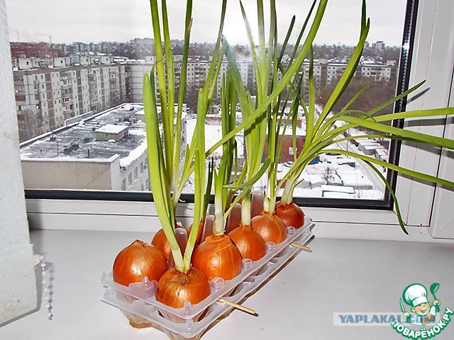 Мое советское детство в картинках