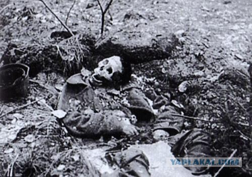Опыт армий Рейха и СССР на 1941 год