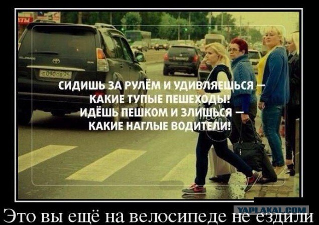Весёлые картинки