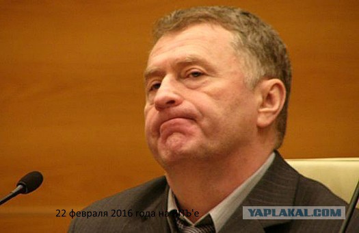 Подборка картинок 21.02.16