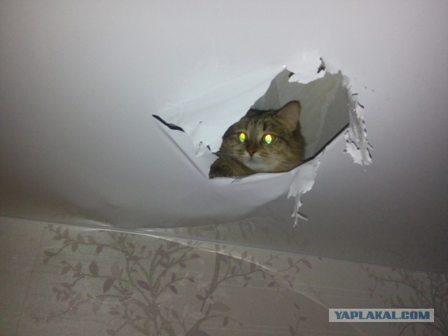 Про натяжные потолки