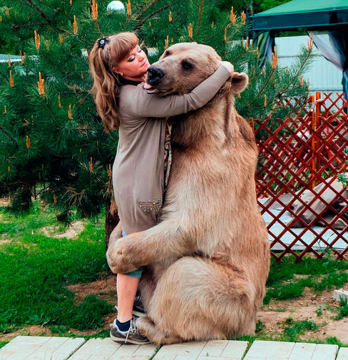 Медведь Степан и его семья