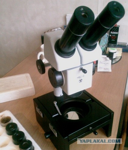 Искал сыну микроскоп
