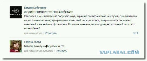 Смешные комментарии из социальных сетей 24.06.2016