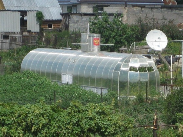 Картинки всякие