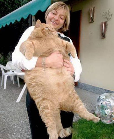15 фотографий на которые нельзя смотреть равнодушно...