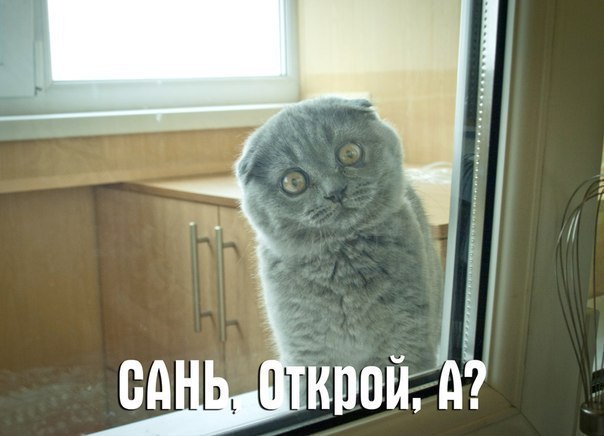 Забавные картинки вразнобой