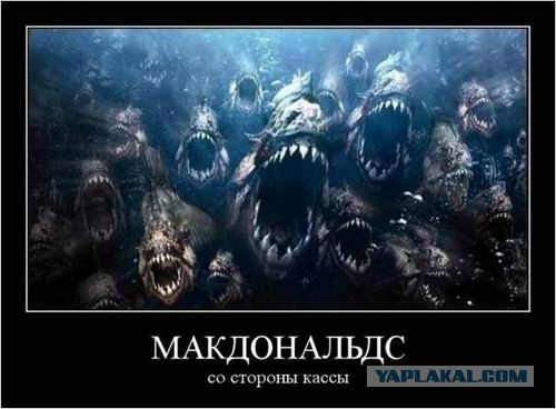 Открытие McDonalds в Запорожье 03.01.2017