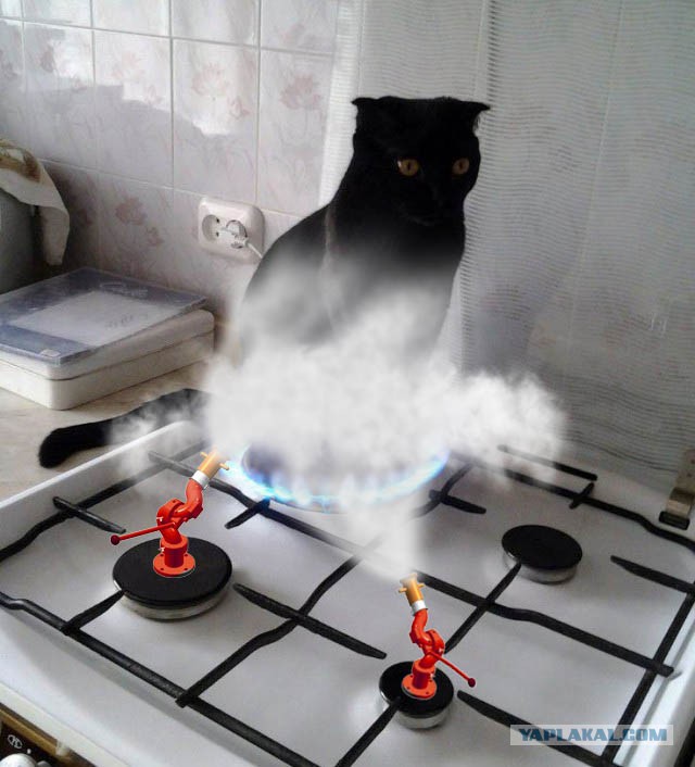 kott на подзарядке