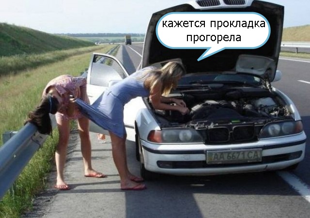 Подборка интересных и веселых картинок