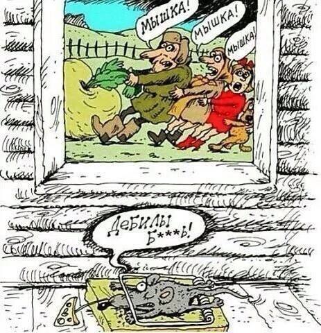 Картинки с просторов на пятницу
