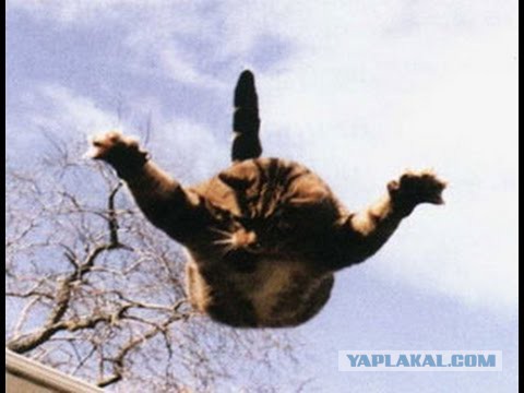 Температура вакуума