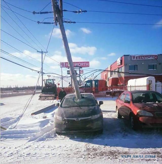 Прикольные картинки