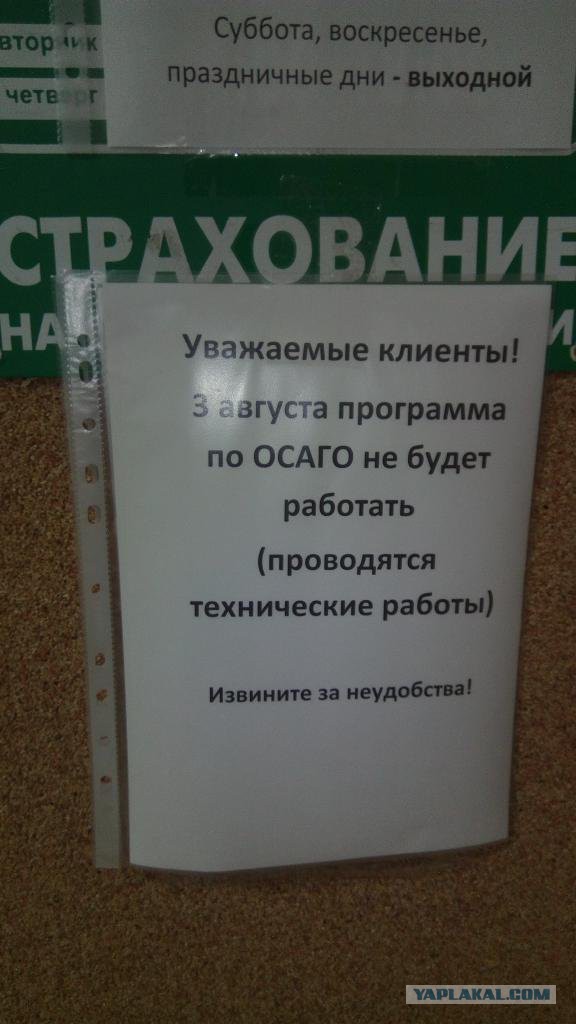 Вызов полиции помог автовладельцу оформить полис ОСАГО
