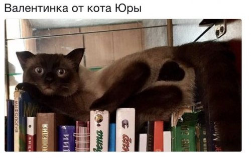 Подборка интересных и веселых картинок