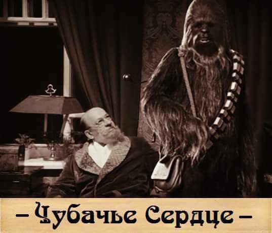 Итоги проверки пользователей