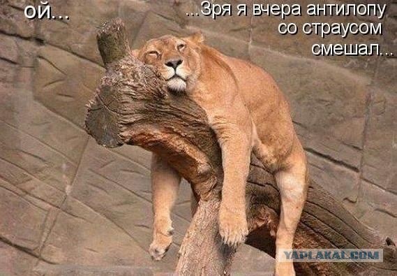 США репетируют захват России