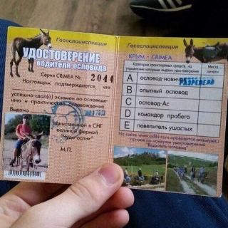 Дураков у нас на сто лет припасено