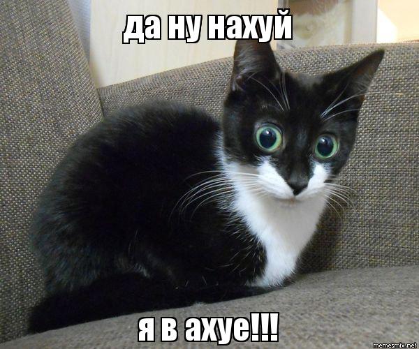 Начался матч Россия — Испания. Давайте дружно болеть!
