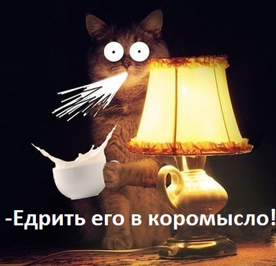 Совсем немного о современных нравах