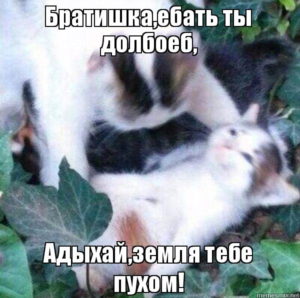 Земля Пухом Мем