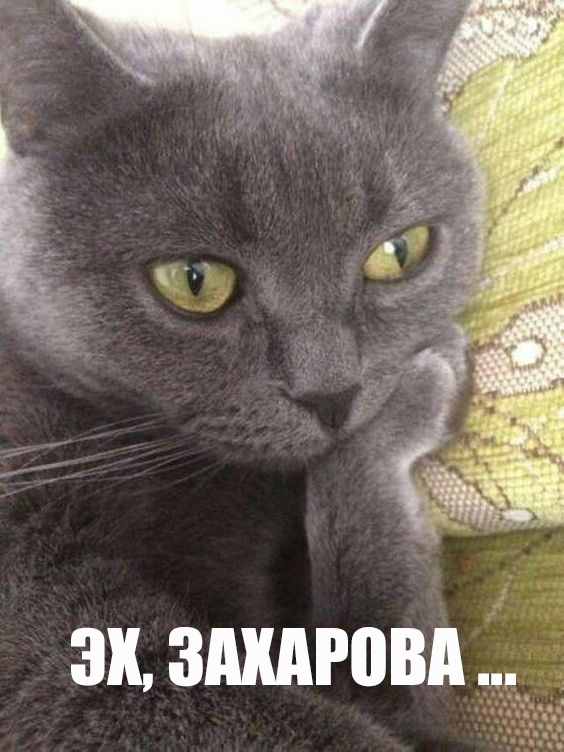 Захарова станцевала лезгинку