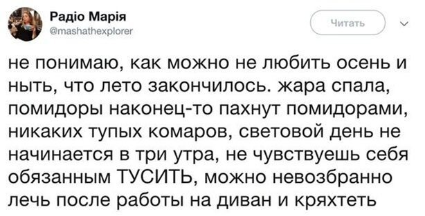 Забавные шутки, картинки и фразы из этих ваших интернетов